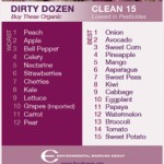 09shoppersguide-purpleimage