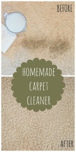 homemade carpet clen
