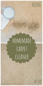 homemade carpet cleaner